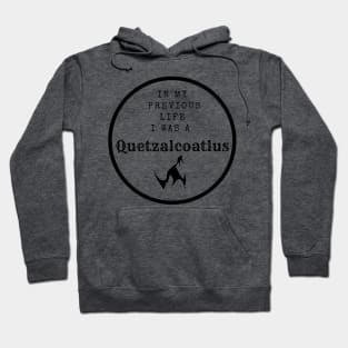 In my previous life - Quetzalcoatlus Hoodie